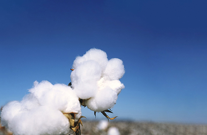 non woven fabric products