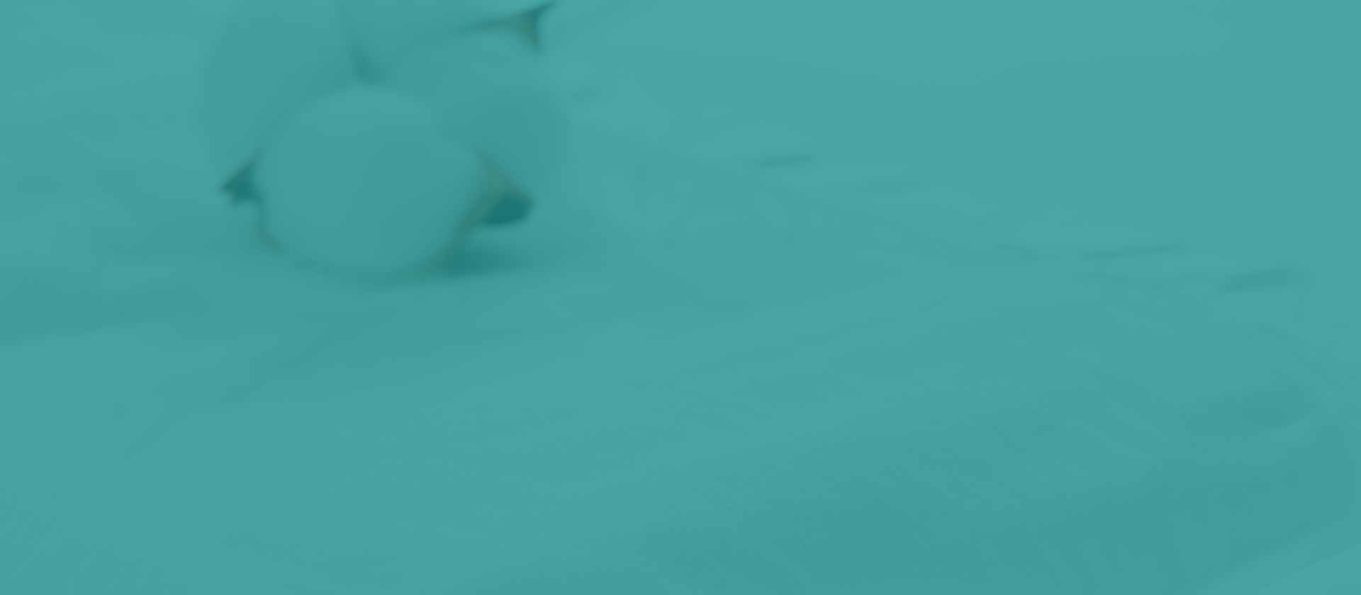 spunlace non woven fabric